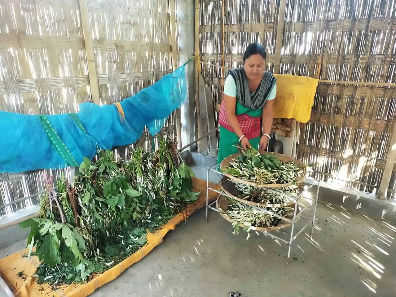 Saar Eri SilkCompany Limited